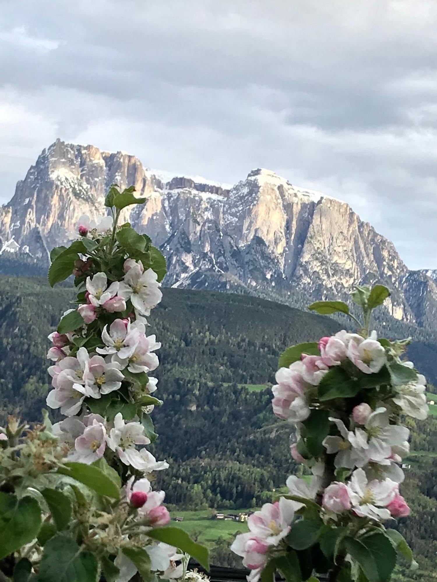 Gasserhof Barbiano  Buitenkant foto
