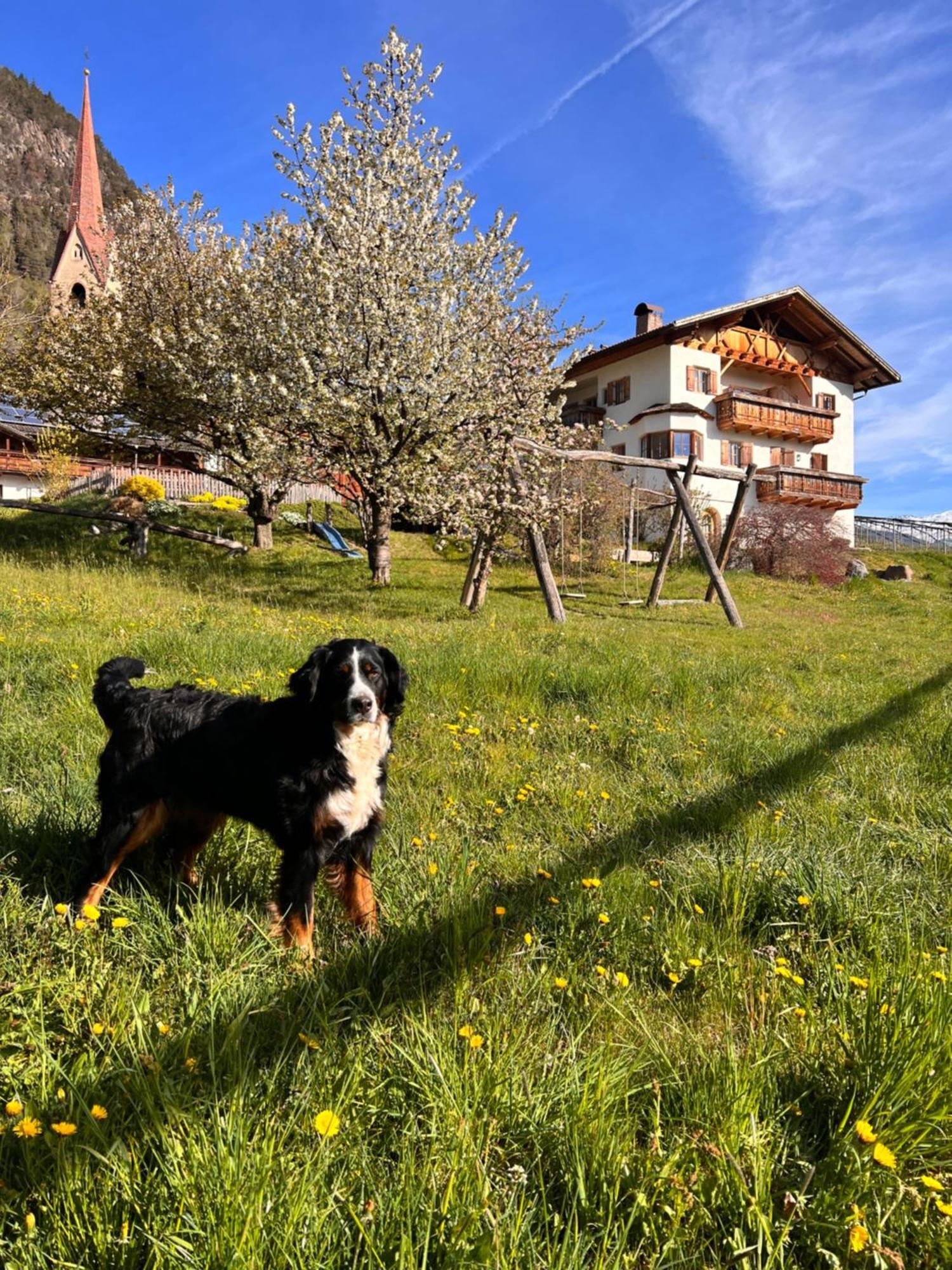 Gasserhof Barbiano  Buitenkant foto