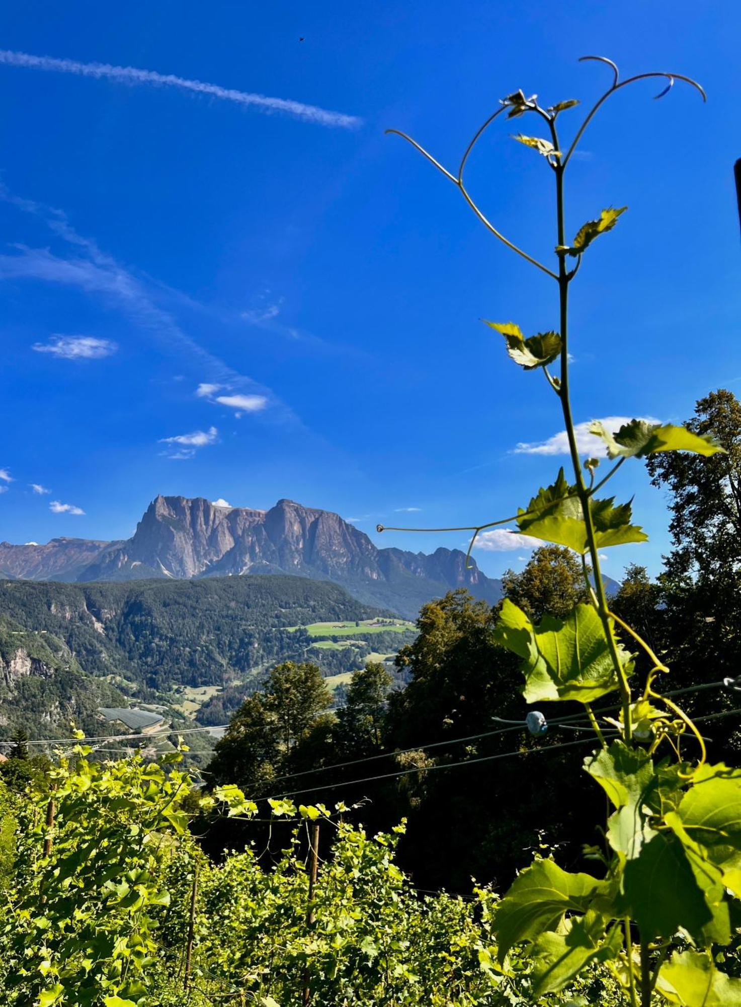 Gasserhof Barbiano  Buitenkant foto