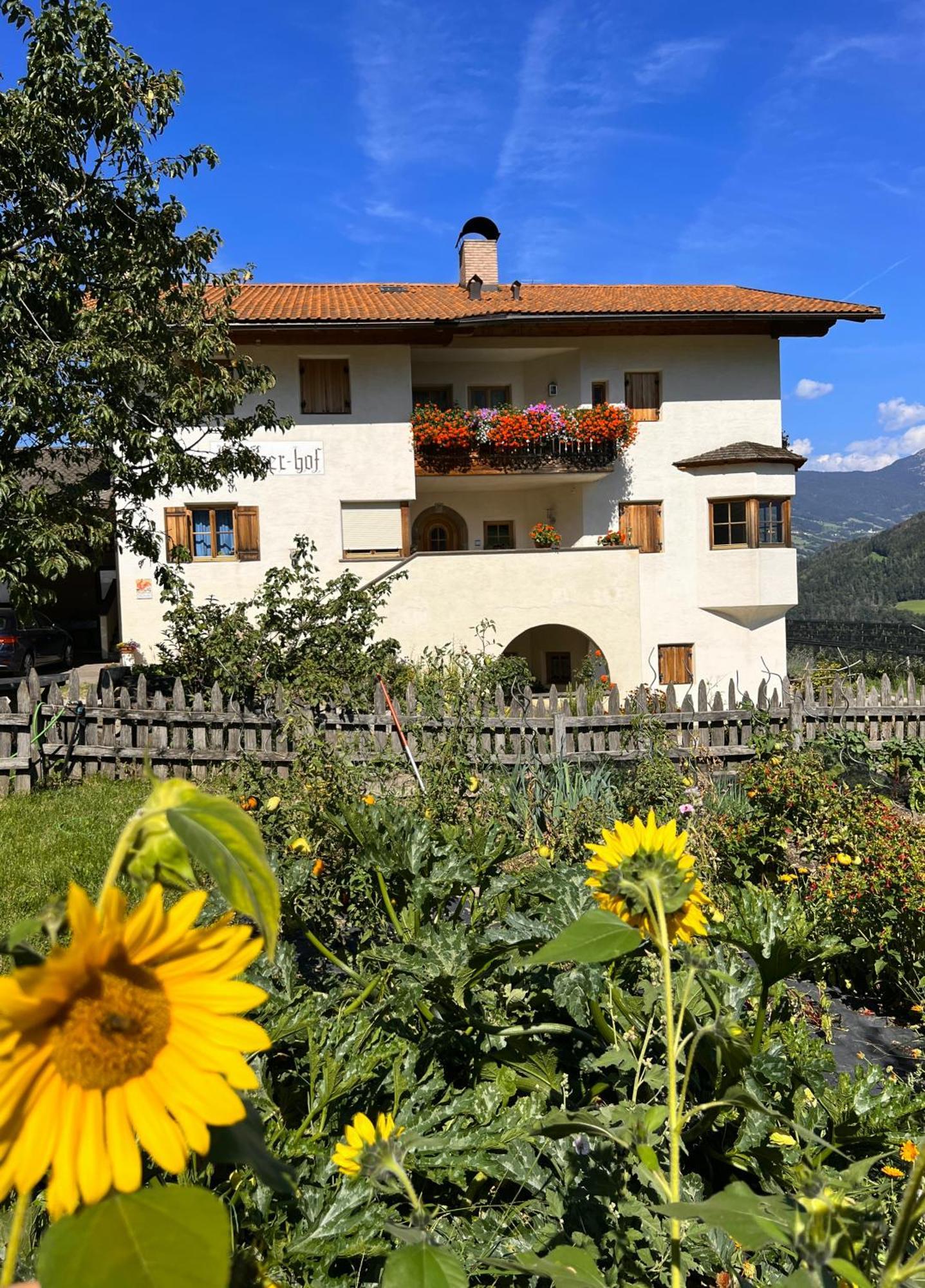 Gasserhof Barbiano  Buitenkant foto