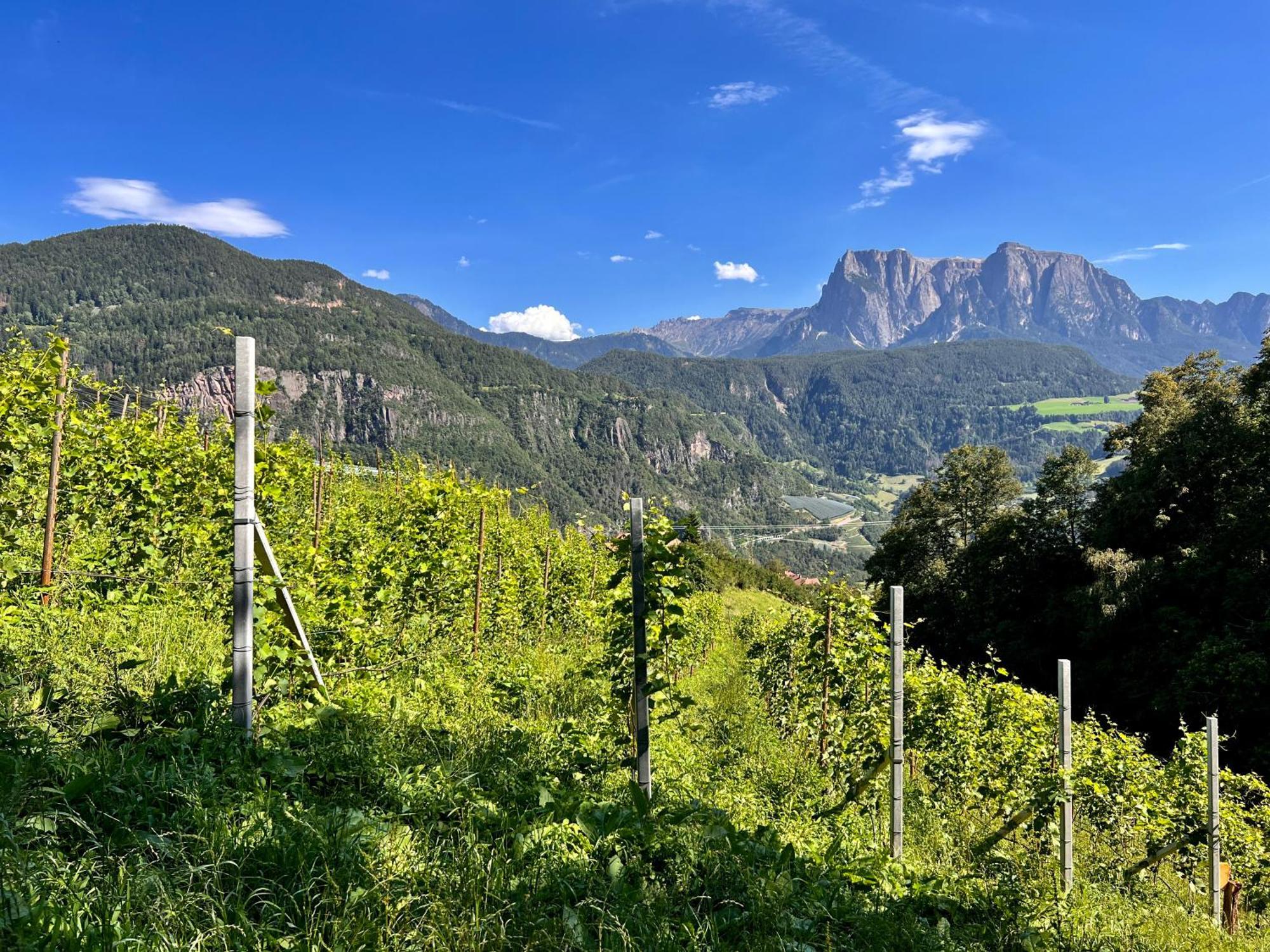 Gasserhof Barbiano  Buitenkant foto