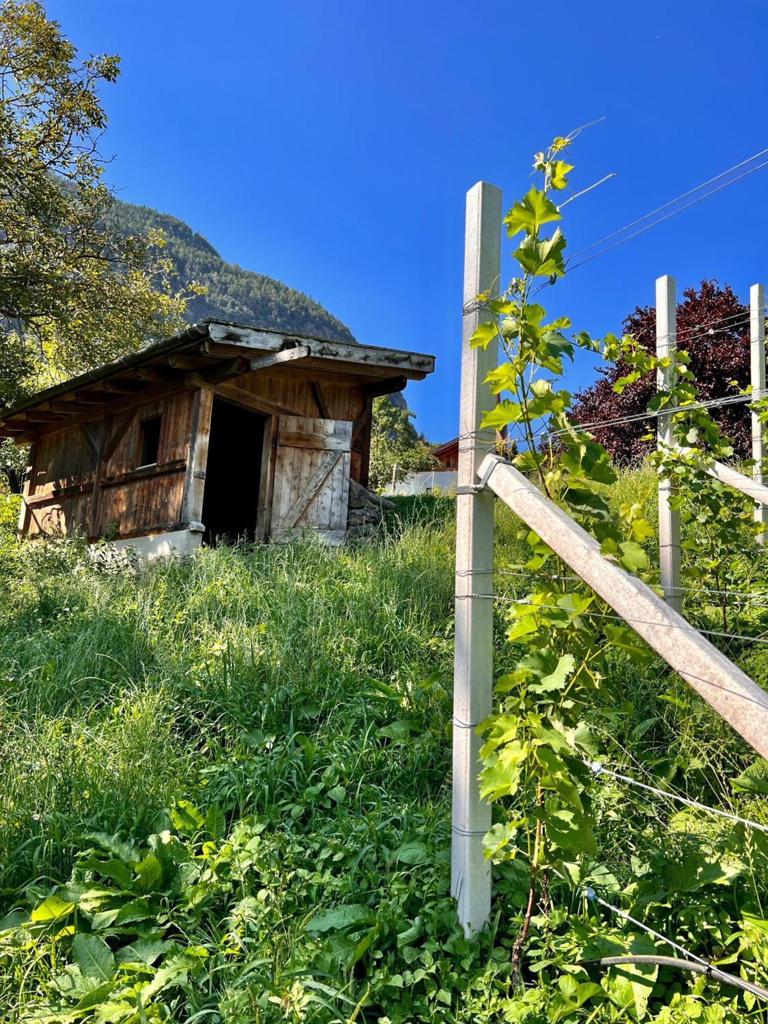 Gasserhof Barbiano  Buitenkant foto